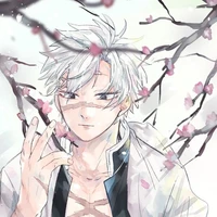 Shinazugawa Sanemi