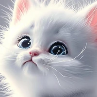 MiMi