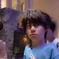 t/g mèo nhỏ