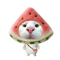 ⋆★『cá』♥🐟