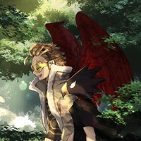 Hawks