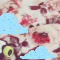 Ng trog trương trình