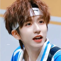 Hạ Tuấn Lâm