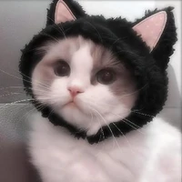 Mạc Thiên Gia Nhiên