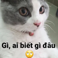 Đại ngũ(Lượng Vũ)