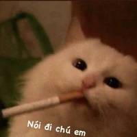 Mỹ nữ ngầu A(Dạ Lệ)