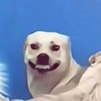 TG