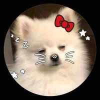 (Bn cũ của choco)trồm lâm