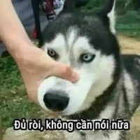 Tôi - con tác giả hướng nội