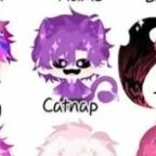 hiha catnap