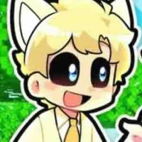 Hiha anticatnap 