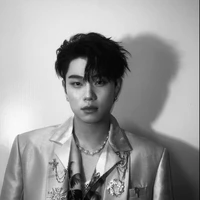 dương domic