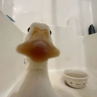 Tác giả là con zịt =}}}
