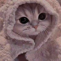 cả lớp:3