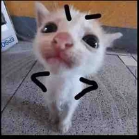 Chồng của các vợ😍😍😍