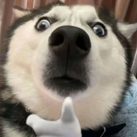 con cá biết bơi