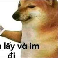 tg báo