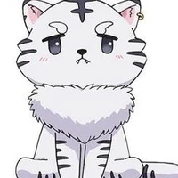 hệ thống- tiểu bạch hổ