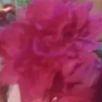 đọc giả 😌✌