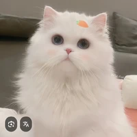 Nguyễn Nhật Hạ-mami t/g nek :3