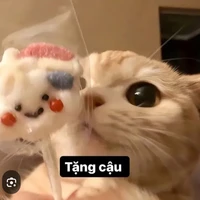 Lê Anh Thư-Kon bn t/g p9