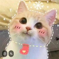 Phạm Lan Anh-Thím cả t/g