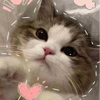 Nguyễn Ngọc Nhi-E họ t/g+e của nhỏ Ngân