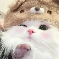 Nguyễn Hoài Anh-E họ t/g+e nhỏ Chi