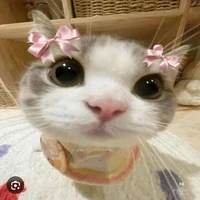 Nguyễn Ngọc Linh-t/g đó :>>>