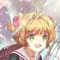 sakura