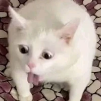 Tác giả hay chán