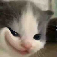 hệ thống hạt nhài