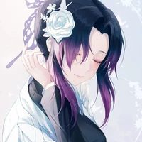 shinobu ( chị)