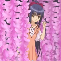 Nadeshiko Fujisaki