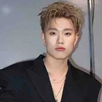 dương domic (trần đăng dương)