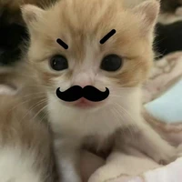 mêu mêu