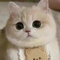 Ngủ như chớt 😅