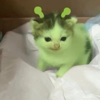 đại ka tác giả😏😏