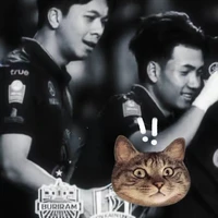 t/g😼