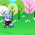 Kan chan