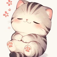 hệ thống