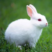 những người có mặt lúc đó