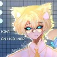 hiha anticatnap