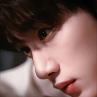 Đinh Trình Hâm