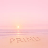PRIND - Tác Giả