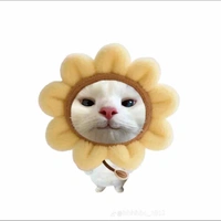 Tác giả :>