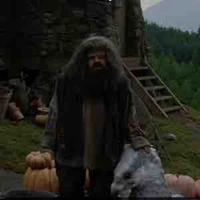 Rubeus Hagrid