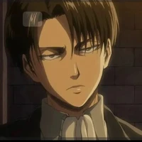 Levi ackerman