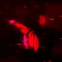 Những người xung quanh (- ai biết)