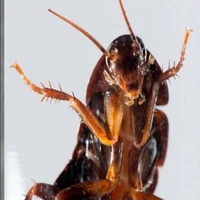 t/g gián👁️🫦👁️